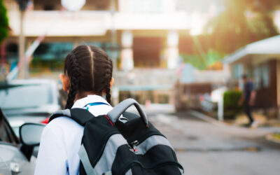 Scholen en veiligheid: hoe u rust creëert met de juiste bewaking